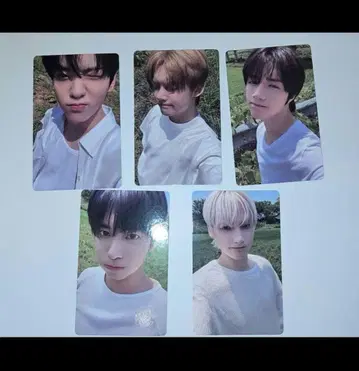 TXT TOGETHER showcase weverse 트레이딩 카드