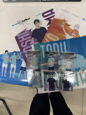 하이큐 클리어 카드 클리어 파일 전종