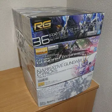 MG RG 건담 프라모델 엑스임펄스 듀네메스 BANDAI 미개봉 새상품