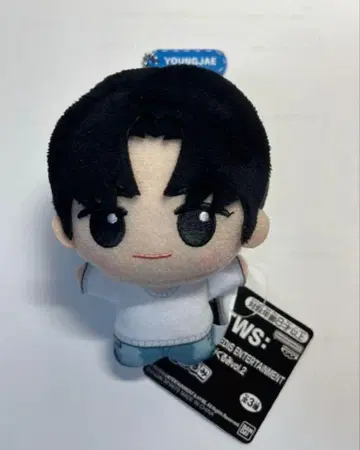 TWS 아스 SD 인형 영재