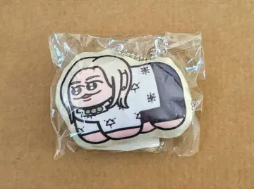 카리스마 테라 쿠션 키링
