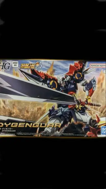 HG 1/144 다이젠거