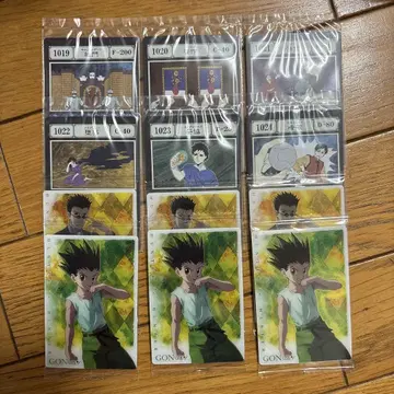 HUNTER x HUNTER 제일복권 J상 지정 포켓 카드 & 프리 포켓
