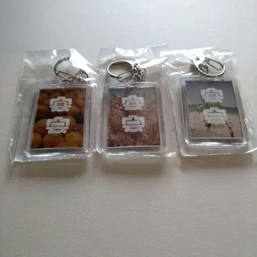 호시노 겐 연회 키링 세트