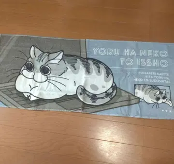 밤은 고양이와 함께 큐르가 타월 페이스타월 시마무라 돈키 콜라보