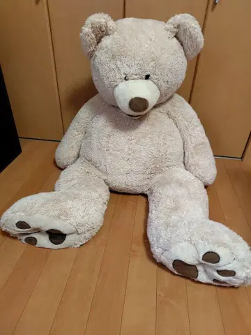 코스트코 곰 봉제 인형