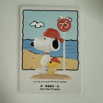 스누피 해적 피규어 75