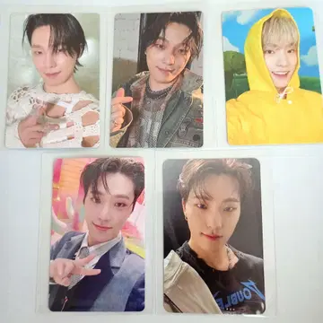 SEVENTEEN 디노 DINO 트레이딩 카드 세트 묶음 판매 5장