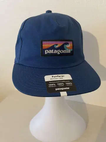 patagonia 캡 파도 로고