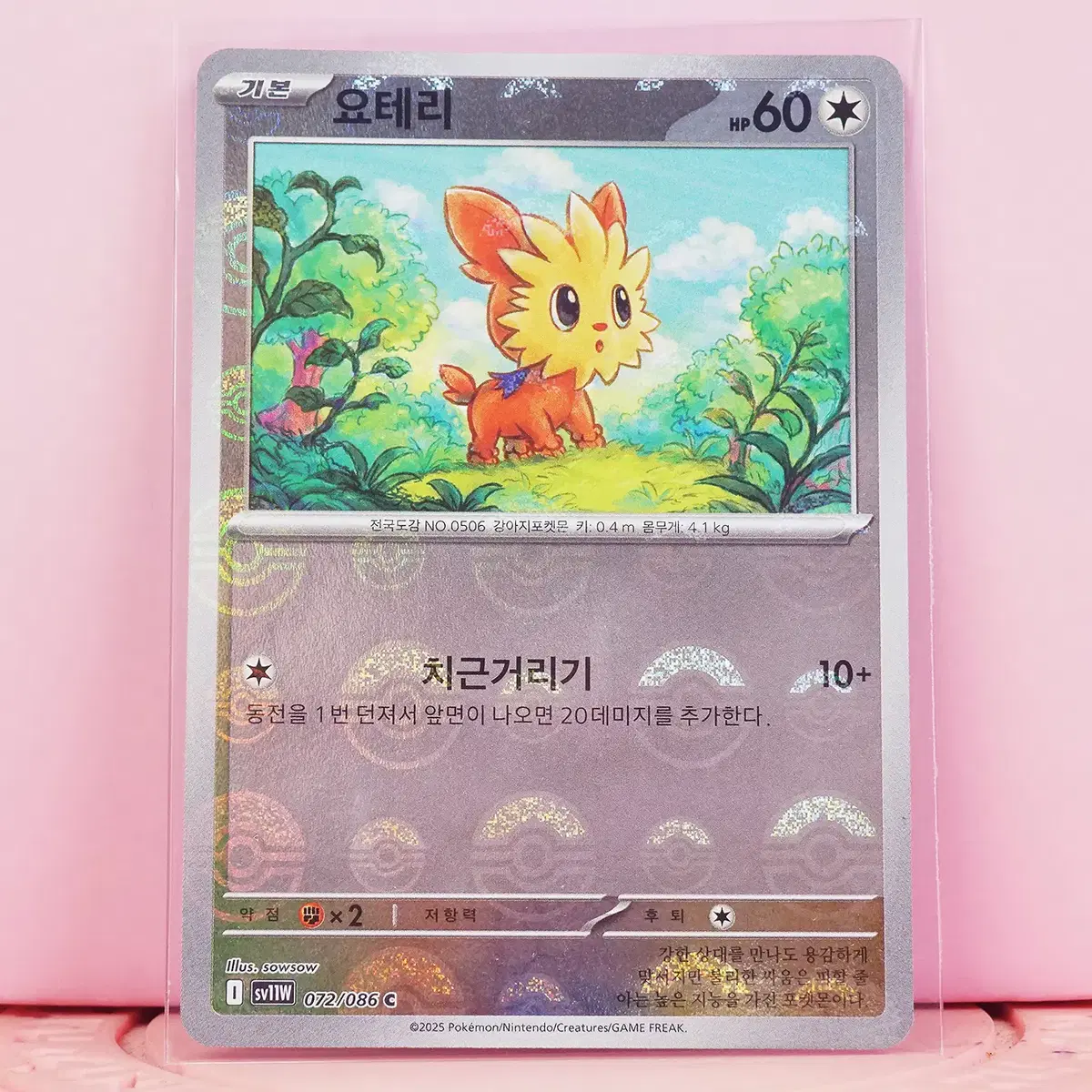 tyrantrum ex pokemon card Tyrantrum Ex Xy70