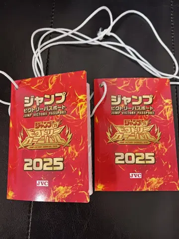 점프 빅토리 카니발 2025 패스포트 2권