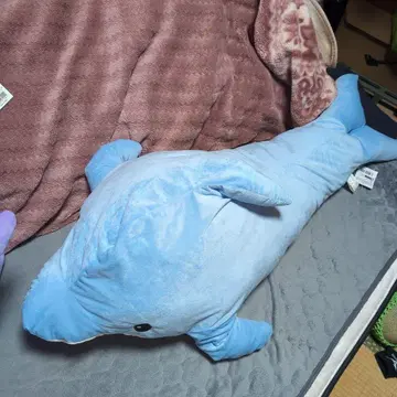 파란 돌고래 봉제 인형 빅