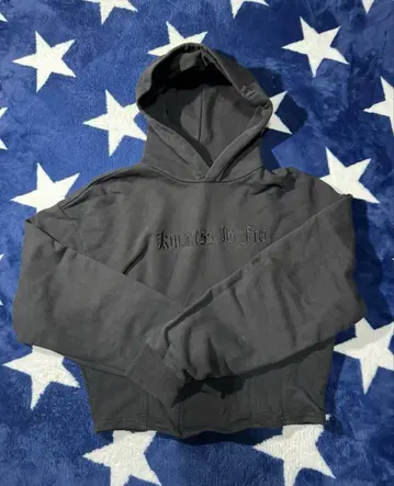 ZARA MAN BERLIN EDITION 자라 크롭 후드티