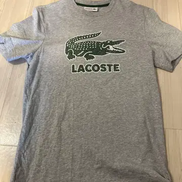 LACOSTE 티셔츠 그레이