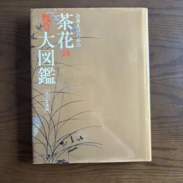 다인을 위한 다화 야생화 대도감