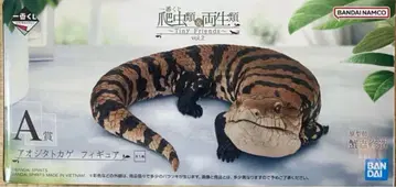 파충류 제일복권 아오지타도마뱀