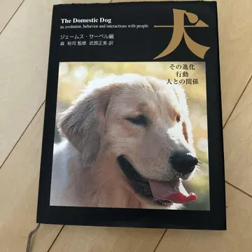 도메스틱 도그: 개, 그 진화, 행동, 사람과의 관계