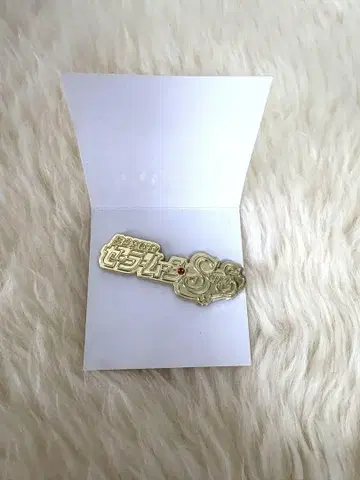 세일러문 SS 핀 배지