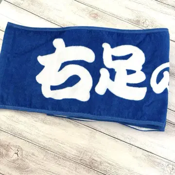 피셔즈 머플러 타월