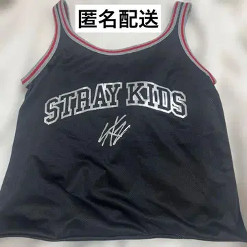 Stray Kids 업그레이드 특전 메쉬 백