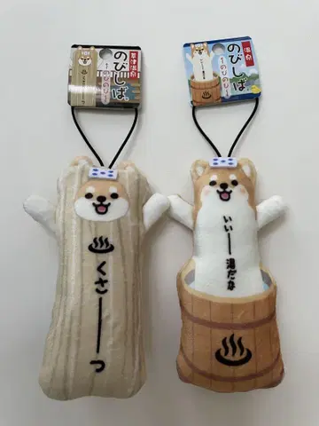 지역 노비시바 쿠사츠 온천