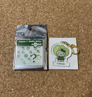 [ C.sinuosa ] Algae x Hello Kitty 아크릴 키링