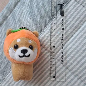여행하는 마메시바 새상품