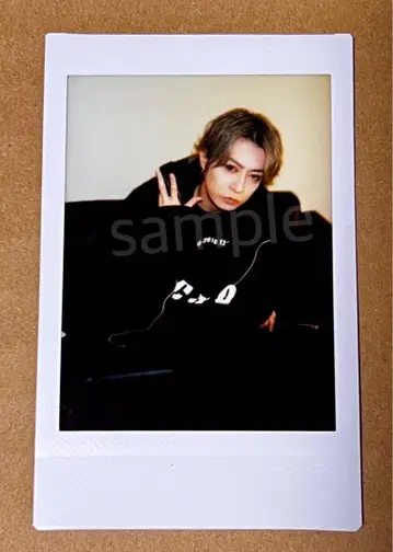 SHIN 폴라로이드 라이브 굿즈 ViViD