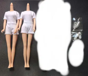 리카짱 캐슬 제 27cm 노멀 바디 2개