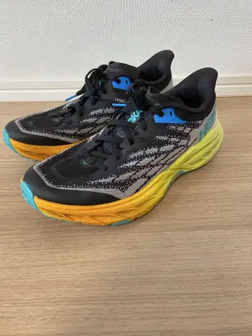 호카오네오네 Speedgoat 5 스피드고트5 27cm