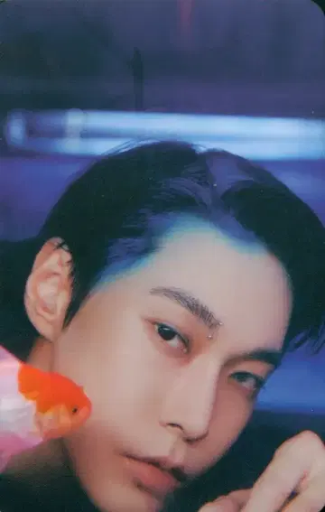 NCT 127 QR ver. 도영 Fact Check 이미지