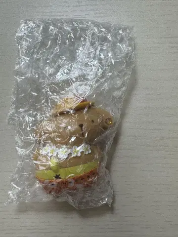 푸딩 시크릿 마스코트 토코나츠 바케이션 일광화상