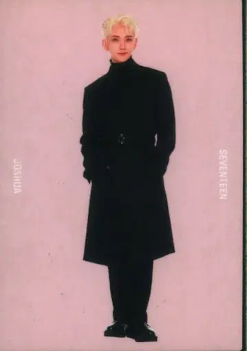 SEVENTEEN JOSHUA 2020 WINTER TO CARAT 44