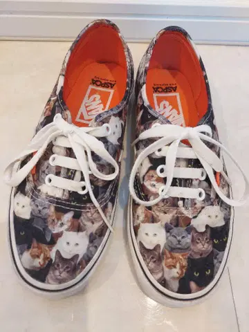 Vans 고양이 패턴 로우컷 스니커즈 23.5cm