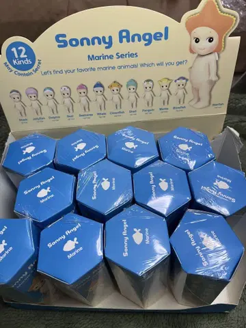 소니엔젤 마린 시리즈 12점