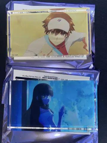 FGO 랜덤 아크릴 블록 (키시나미 하쿠노 남자 여자 세트)