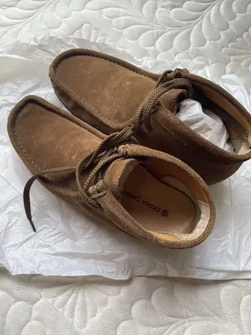 CEDAR CREST 왈라비 부츠 베이지 24cm