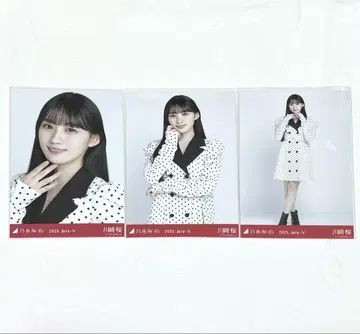 노기자카46 브로마이드 도트 카와사키 사쿠라 컴플