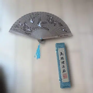 센스 백조