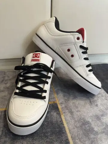 DC 슈즈 PURE SE SN 29cm