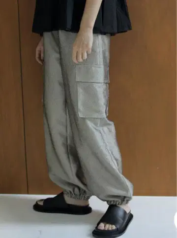 anuke Glitter Cargo Pants
