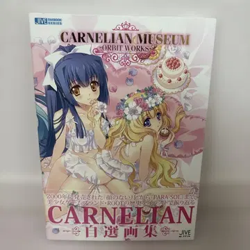 CARNELIAN MUSEUM-ORBITWORKS-자선화집