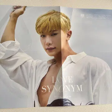 LOVE SYNONYM WONHO 포스터