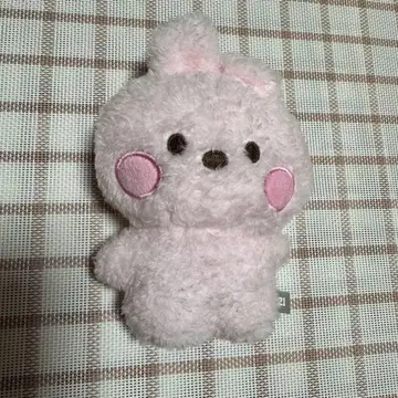 BT21 COOKY minini