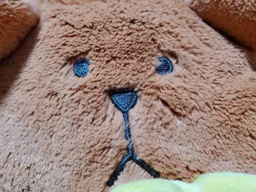 [ 크래프트홀릭 ] 홋카이도 한정 곰