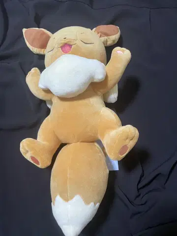 포켓몬 슬립 이브이 봉제 인형 약 30cm
