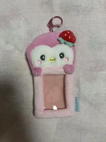 JOCHUM 포포 트레카 케이스