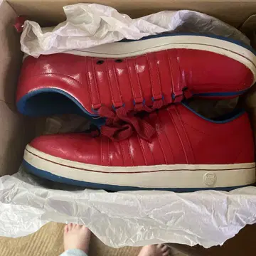케이스위스