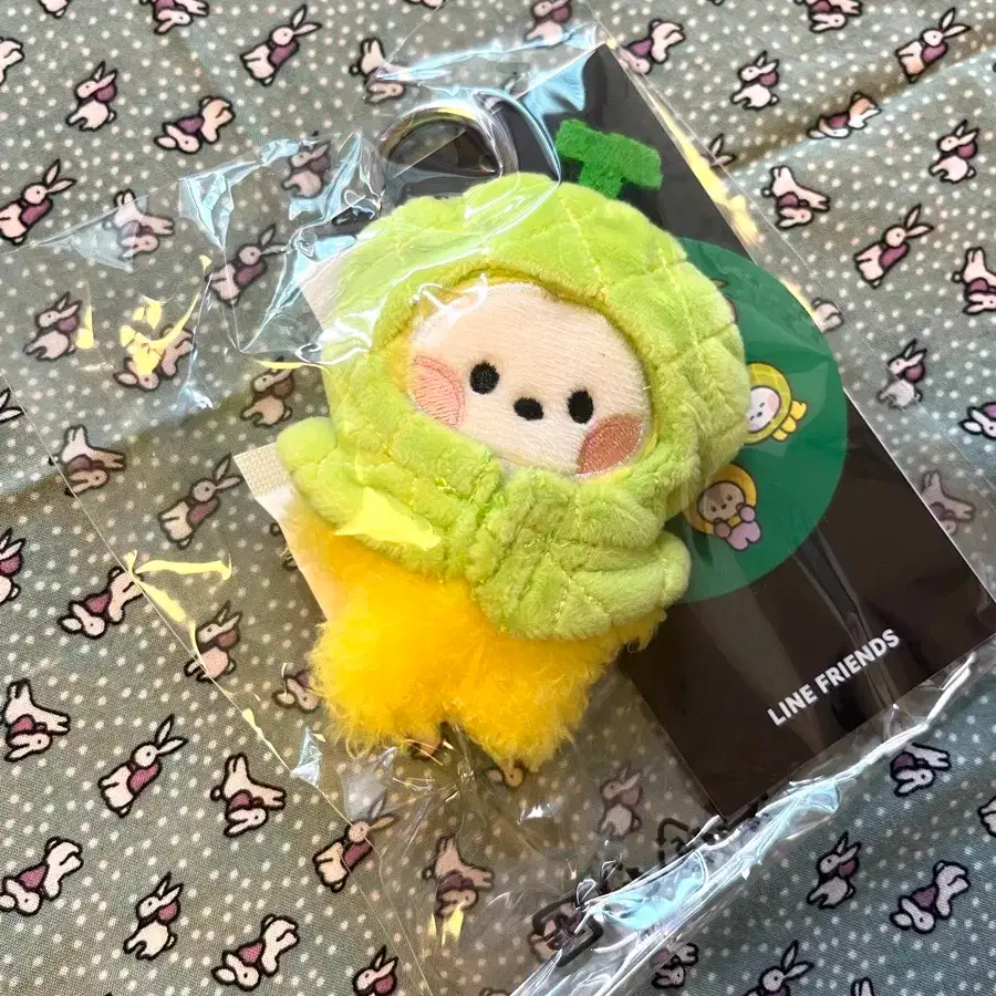 BT21 CHIMMY Mini Minini Melon Fruit Doll Keyring #방탄소년단,#bts