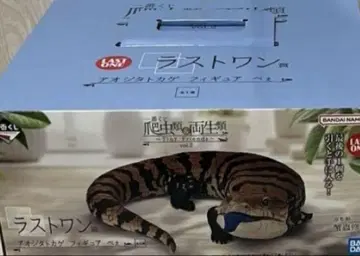 파충류 제일복권 라스트원상 푸른혀도마뱀 피규어 뻬